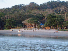 The Beach